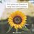 Deb McDaniel Walker's profile image