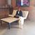 Paul Anthony Presendieu-Cuesta's profile image