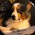 Kim Campbell's profile image