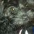 Kathy Vandervoort Williams's profile image