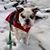 Kimmie Peckham Kenyon's profile image