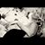 Suzanne Boots DeBartolo's profile image