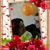 Maritza Negreira's profile image