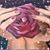 Doreen M Inserra's profile image