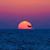 Dawn Marie Leonard's profile image