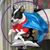 Judi Nicholson's profile image