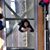 Mariz Moheb Doss's profile image