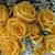 Terrie Bidlack's profile image