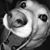 Bob Wadsworth's profile image