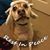 Jenifer Logan Roberts's profile image