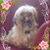 Angela Schlager's profile image