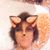 Rosanne Mead Pickering's profile image