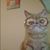 Jennifer Kordash Larson's profile image