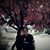 Coby Kindall's profile image