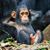 Donald Barger's profile image