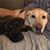 Sara Steffenhagen's profile image