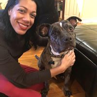 Rebecca Purnell's profile image