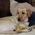Shelly Wright's profile image