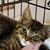 Pam Goodine's profile image