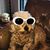 Aly Hagness's profile image