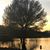 Savannah Jill Silvas's profile image