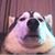 Eric Schultz's profile image