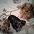 Claire Malidore's profile image