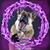 Terri McLellan's profile image