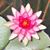 Mindy Schroeder Brown's profile image