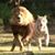 Linda Bartoo-Bennett's profile image