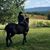 Jamie Gouin's profile image
