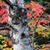 Teresa Bunger's profile image