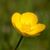 Janice Beaucar's profile image