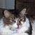 Sally Bainbridge's profile image