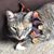 Barbara Kinney's profile image