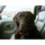 Darlene Zavatkay's profile image