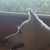 Wendie Herkamp's profile image