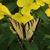 Glenda Bendure's profile image