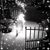 Cindy Hall Belk's profile image