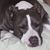 Joan Padilla's profile image