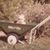 Christy Setzke's profile image