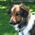 Roy Patterson's profile image