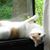 Patricia Villers's profile image