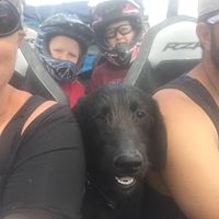 Ellie Meyers's profile image