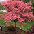 Gina Stafford's profile image