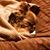 Deb Hansmeier's profile image