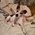 Cristy Silakowski Spence's profile image