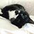 Karen LeDuc's profile image