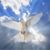 Katrina Alexander's profile image