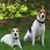 Talula Townsend's profile image